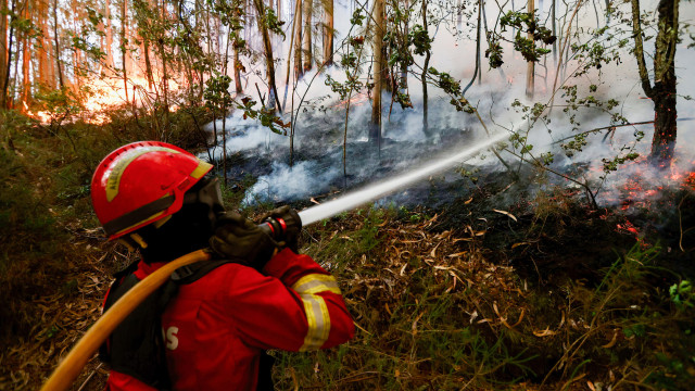 "Sehr schwierige Situation" in Alandroal. Bilder zeigen die Gewalt der Flammen.